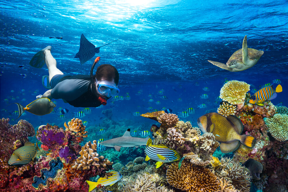 Australia travel documents